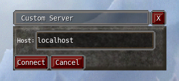 Custom Server